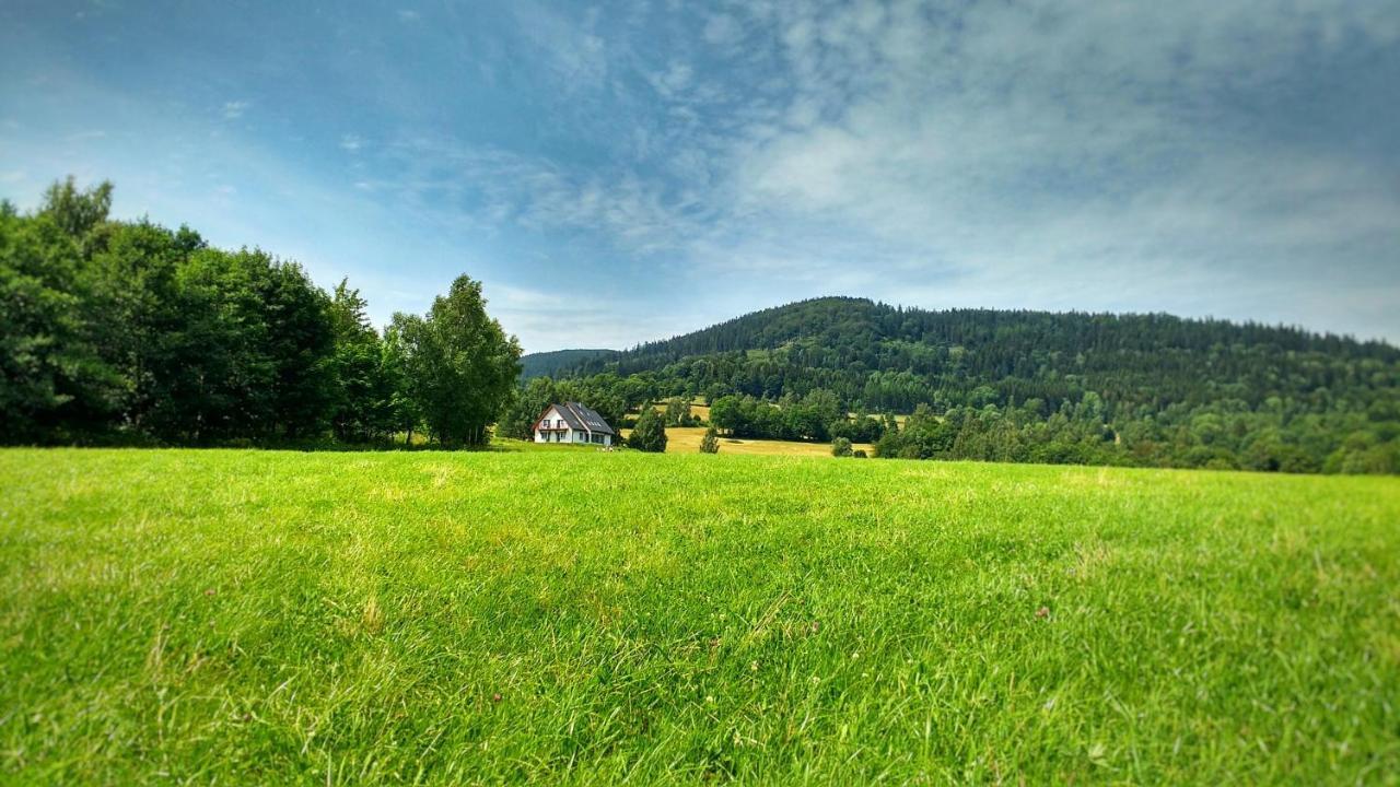 Ostoja