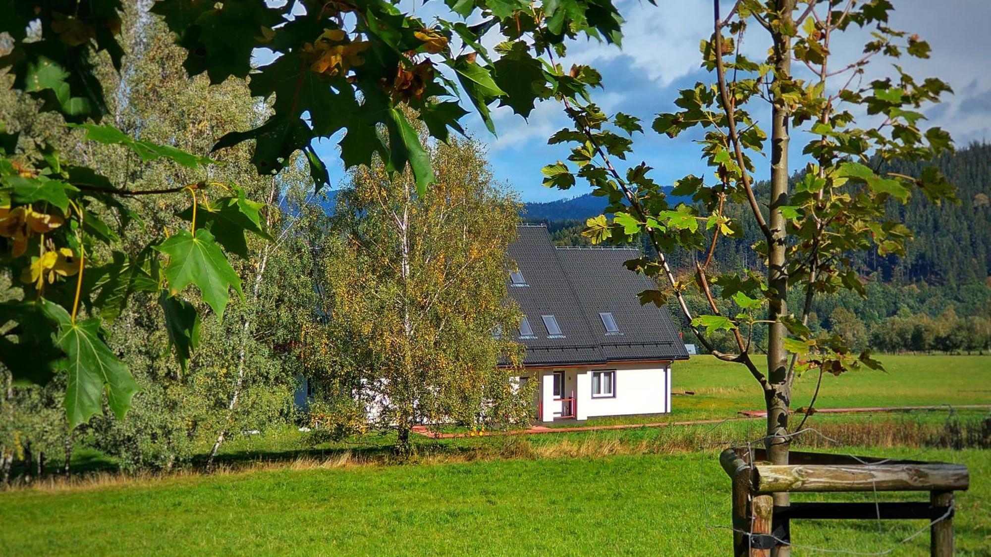 Ostoja