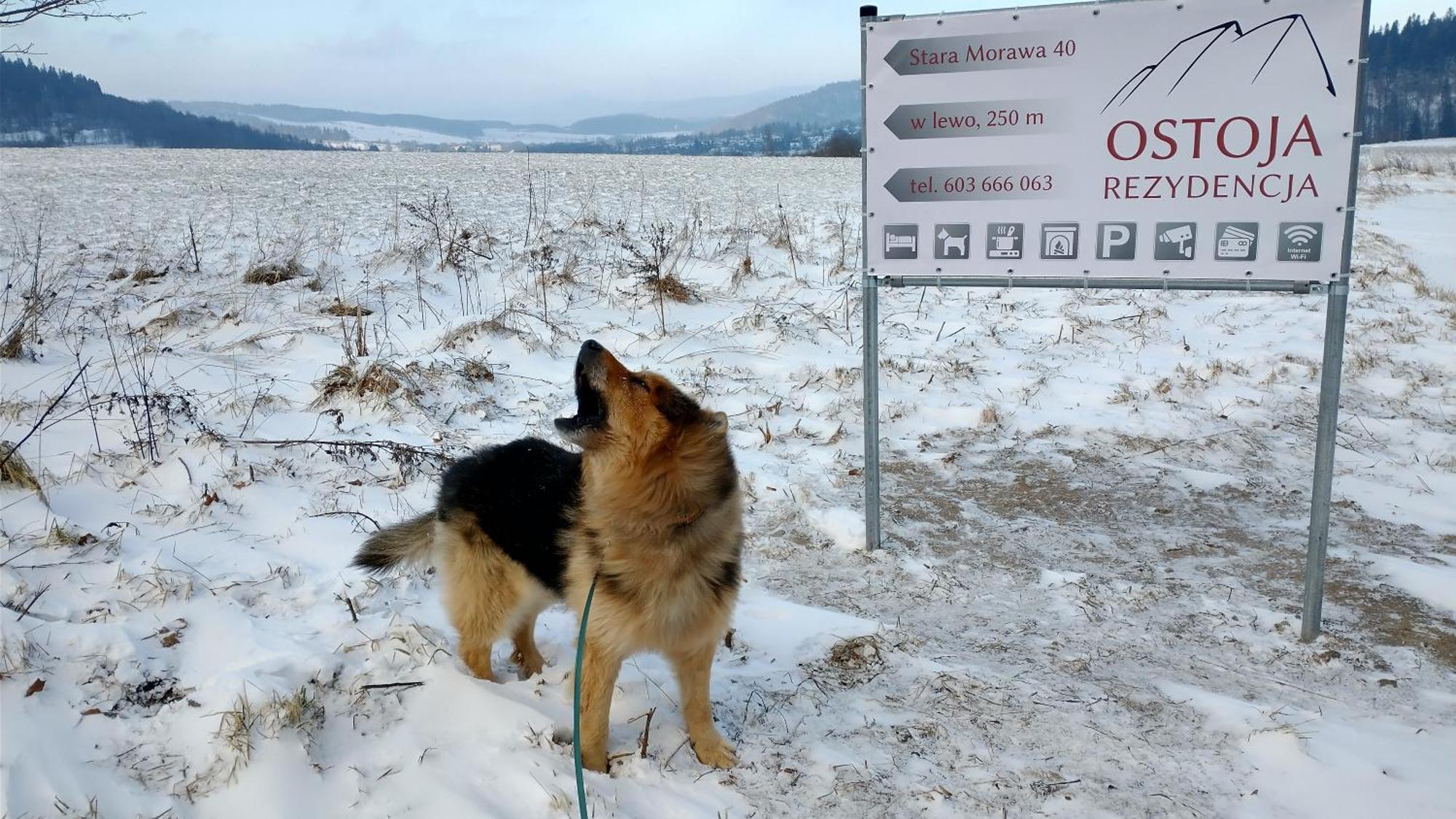 Frühstückspension Ostoja Stronie Śląskie